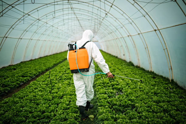 Best Best Pest Control Companies  in , ID
