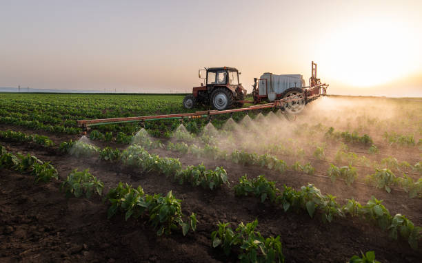 Best Commercial Pest Control Services  in , ID