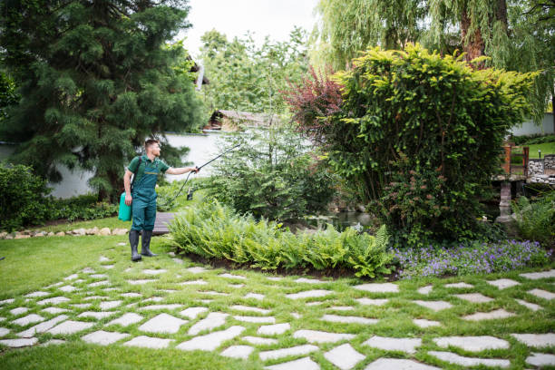 Best Affordable Pest Control Services  in , ID