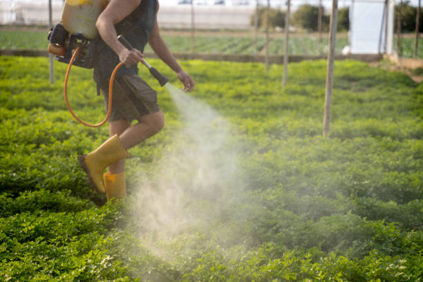 Best Exterminator Services  in , ID
