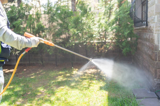 Best Flea Control Services  in , ID