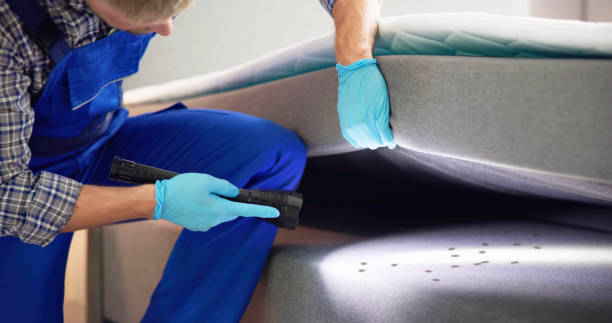 Best Pest Prevention Services  in , ID